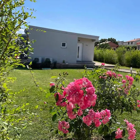 In Mit Grossem Garten Hébergement de vacances Segotici